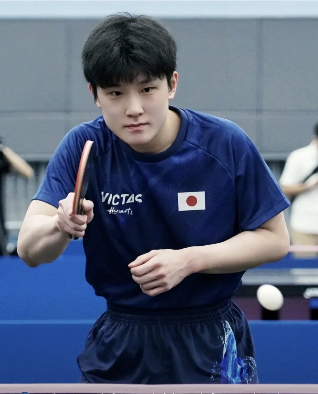 奥地利队绝杀葡萄牙队,张本智和惊艳四座 奥地利队绝杀葡萄牙队,张本智和惊艳四座