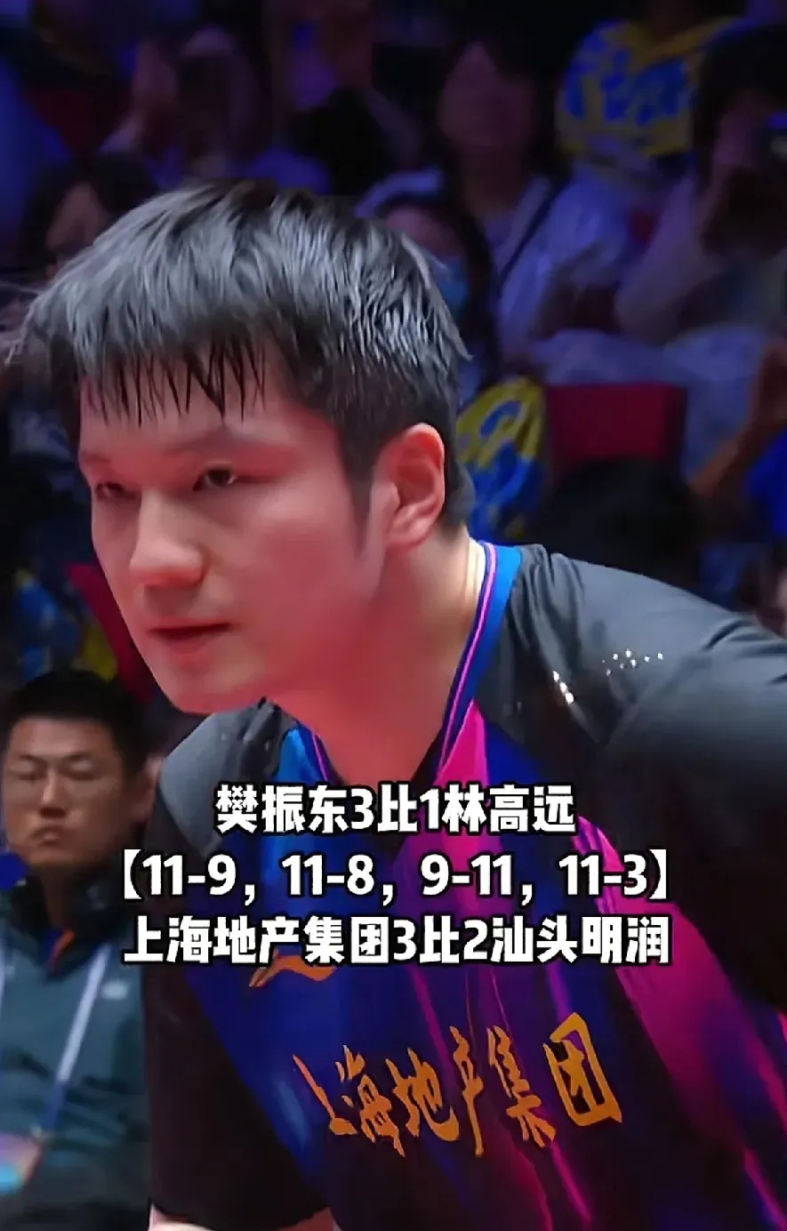 英国乒乓球队翻盘日本乒乓球队，樊振东制霸全场