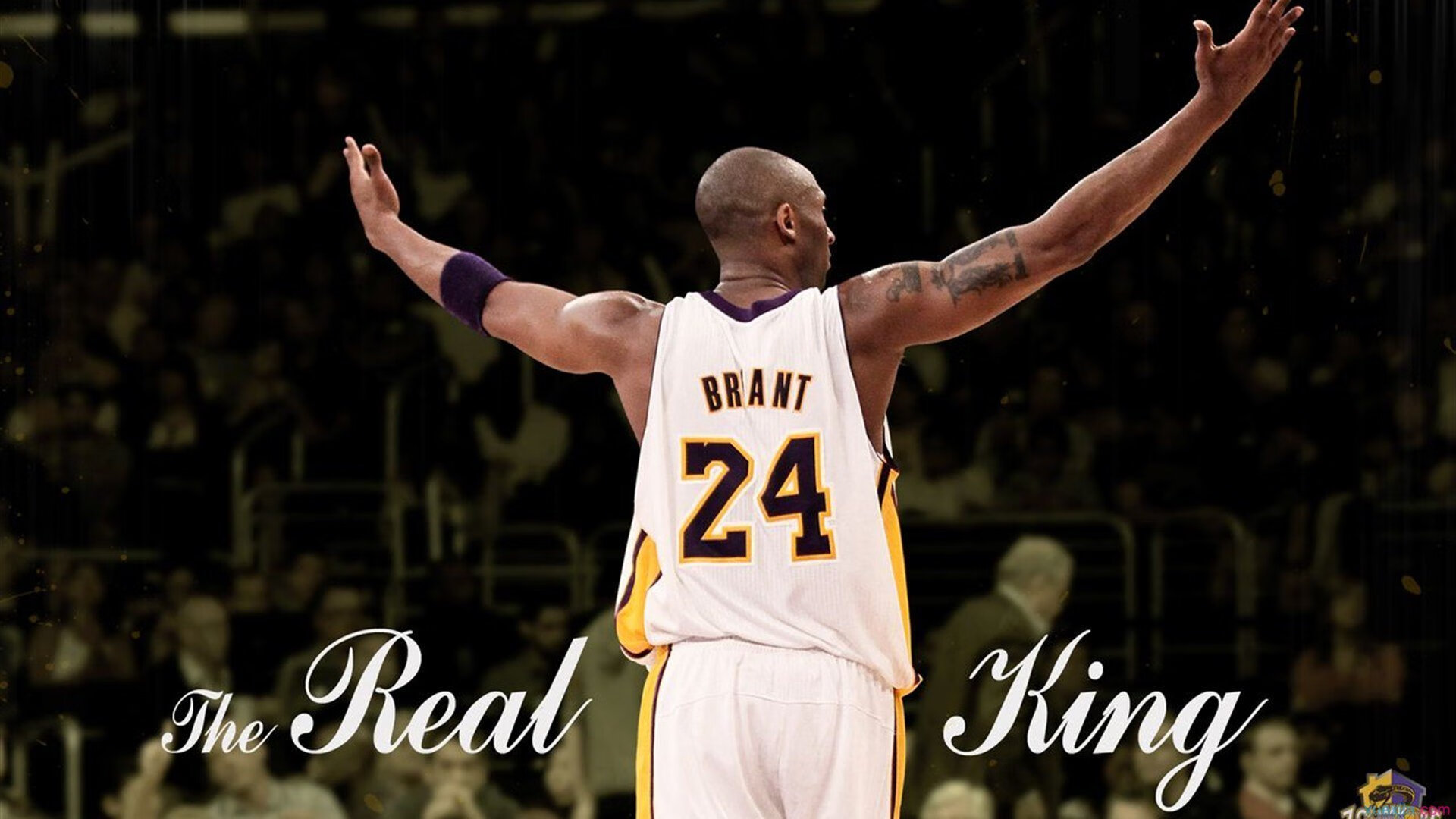 奥运周期关键战，掘金冲垮骑士，战术与意志的双重胜利